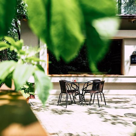 Mer Guest House B&B Brasov Exterior photo